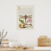 Prachtige Botanische illustratie Poster (Keuken)