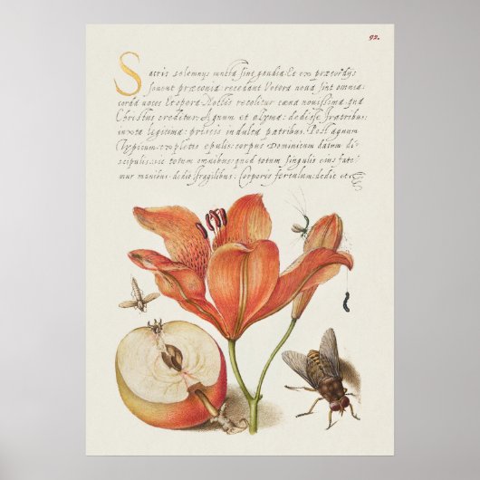 Prachtige Botanische illustratie Poster (Voorkant)