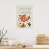 Prachtige Botanische illustratie Poster (Keuken)