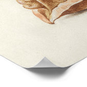 Prachtige  Botanische illustratie Poster (Hoek)