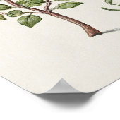 Prachtige  Botanische illustratie Poster (Hoek)