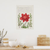 Prachtige  Botanische illustratie Poster (Keuken)