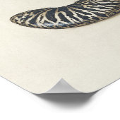 Prachtige  Botanische illustratie Poster (Hoek)