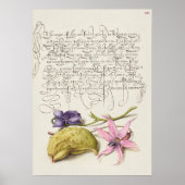 Prachtige  Botanische illustratie Poster (Voorkant)