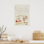 Prachtige  Botanische illustratie Poster (Keuken)