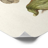 Prachtige  Botanische illustratie Poster (Hoek)