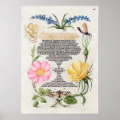 Prachtige  Botanische illustratie Poster (Voorkant)
