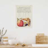 Prachtige  Botanische illustratie Poster (Keuken)