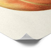 Prachtige  Botanische illustratie Poster (Hoek)