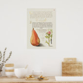 Prachtige  Botanische illustratie Poster (Keuken)