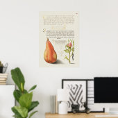 Prachtige  Botanische illustratie Poster (Thuiskantoor)