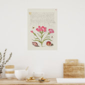 Prachtige  Botanische illustratie Poster (Keuken)
