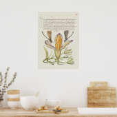 Prachtige Botanische illustratie Poster (Keuken)