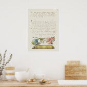 Prachtige  Botanische illustratie Poster (Keuken)