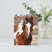 Prachtige Briefkaarten voor paardenpest (Staand voorkant)