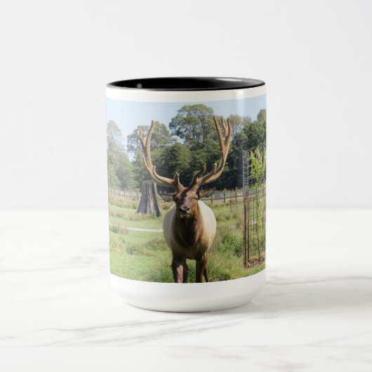 Prachtige Bull Elk Foto op 15oz combo mok (Midden)
