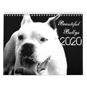 Prachtige Bullys 2020 Dog-agenda Kalender
