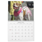 Prachtige Bullys 2020 Dog-agenda Kalender (Mar 2026)