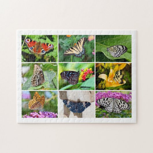 Prachtige Butterflies Collage, 8-jarige, 252 stuks Legpuzzel (Horizontaal)