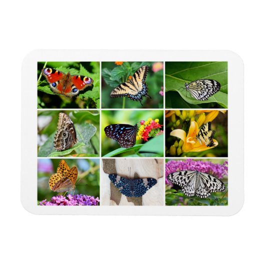 Prachtige Butterflies Collage, 9 Foto's Magneet (Horizontaal)