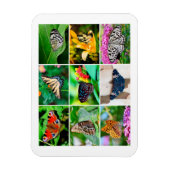 Prachtige Butterflies Collage, 9 Foto's Magneet (Verticaal)