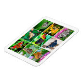 Prachtige Butterflies Collage, 9 Foto's Magneet (Linkerzijde)