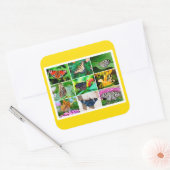 Prachtige Butterflies Collage, 9 Foto's Vierkante Sticker (Envelop)
