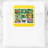 Prachtige Butterflies Collage, 9 Foto's Vierkante Sticker (Tas)