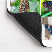 Prachtige Butterfly Collage, 9 foto's Muismat (Hoek)