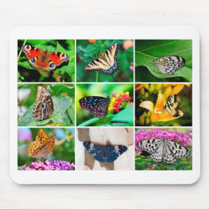 Prachtige Butterfly Collage, 9 foto's Muismat