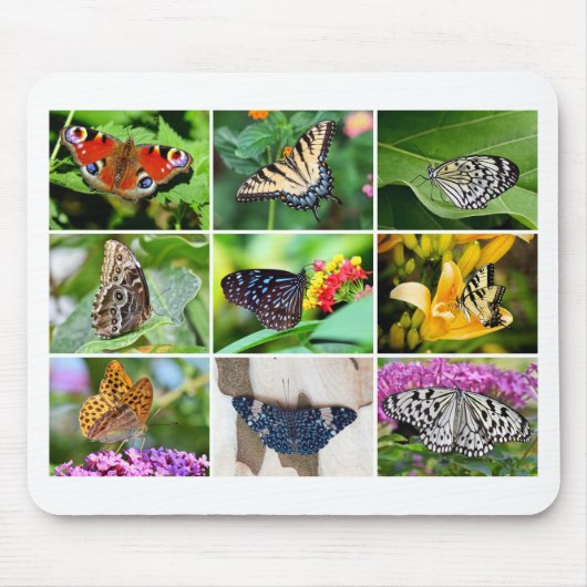 Prachtige Butterfly Collage, 9 foto's Muismat (Voorkant)