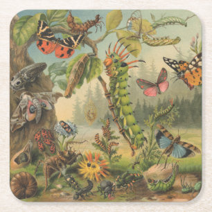 Prachtige  Butterfly Insect Kartonnen Onderzetters