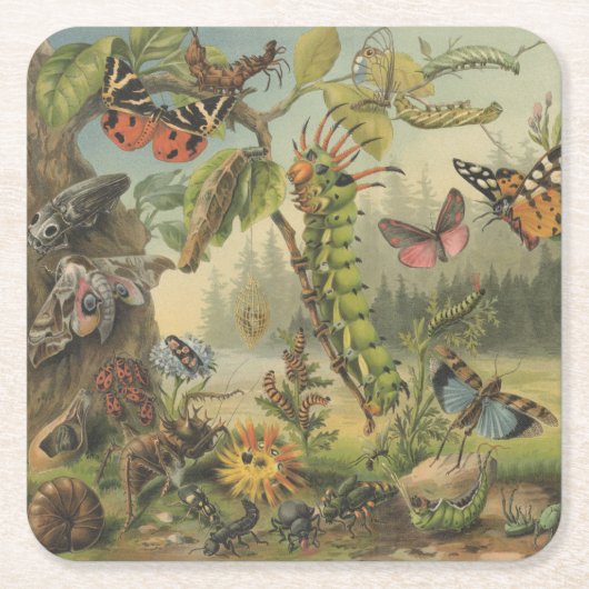 Prachtige Butterfly Insect Kartonnen Onderzetters (Voorkant)