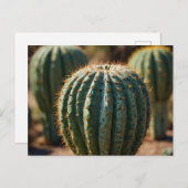 Prachtige Cactus woestijn Briefkaart (Voorkant / Achterkant)