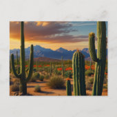 Prachtige Cactus woestijn Briefkaart (Voorkant)