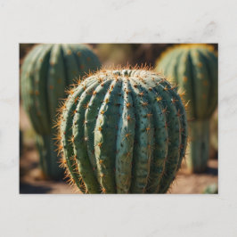 Prachtige Cactus woestijn Briefkaart