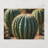 Prachtige Cactus woestijn Briefkaart (Voorkant)