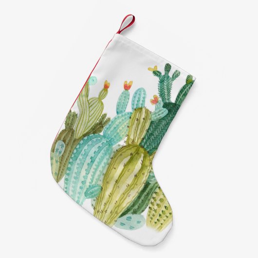 Prachtige  cactussen, succulenten, cactus bloomi kleine kerstsok (Voorkant (Hangend))