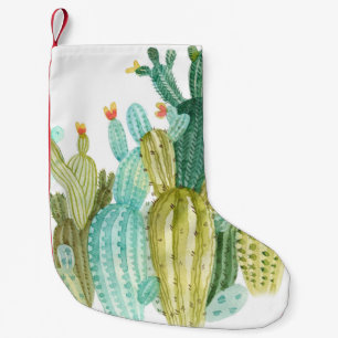 Prachtige  cactussen, succulenten, cactus bloomi kleine kerstsok
