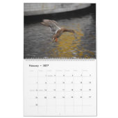 Prachtige Captures Kalender (Feb 2027)