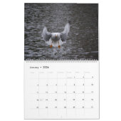 Prachtige Captures Kalender (Jan 2026)