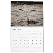 Prachtige Captures Kalender (Mar 2027)