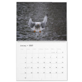 Prachtige Captures Kalender (Jan 2027)