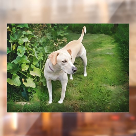 Prachtige Catahoula Leopard Dog Window Cling Raamsticker (Vel 2)