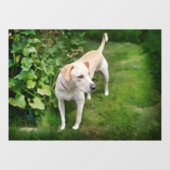 Prachtige Catahoula Leopard Dog Window Cling Raamsticker (Vel)