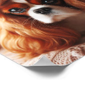 Prachtige Cavalier King Charles Spaniel Poster (Hoek)