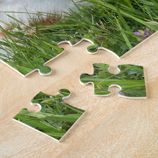 Prachtige Cavalier King Charles Spaniel Puzzel (Zijkant)