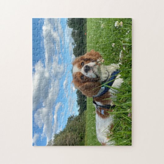 Prachtige Cavalier King Charles Spaniel Puzzel Legpuzzel (Verticaal)