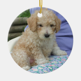 Prachtige cavapoo puppy die je kant op kijkt, geïs keramisch ornament