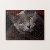 Prachtige Chartreux puzzel (Horizontaal)